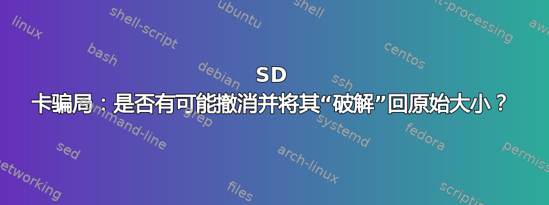 SD 卡骗局：是否有可能撤消并将其“破解”回原始大小？