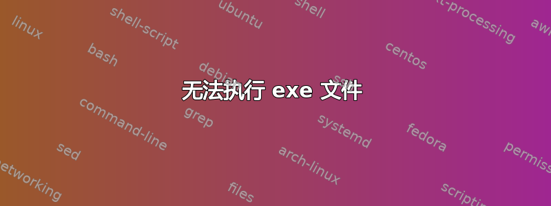 无法执行 exe 文件