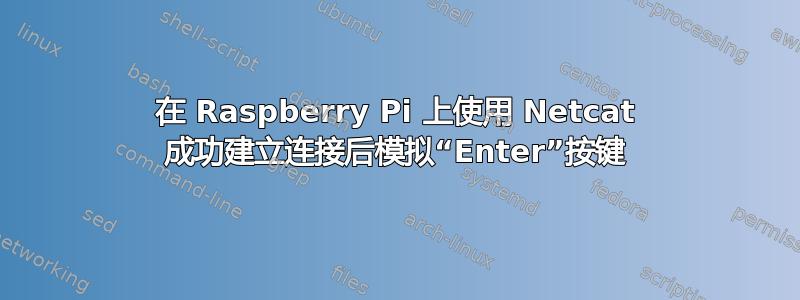 在 Raspberry Pi 上使用 Netcat 成功建立连接后模拟“Enter”按键