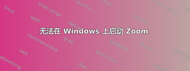 无法在 Windows 上启动 Zoom