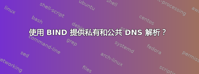 使用 BIND 提供私有和公共 DNS 解析？