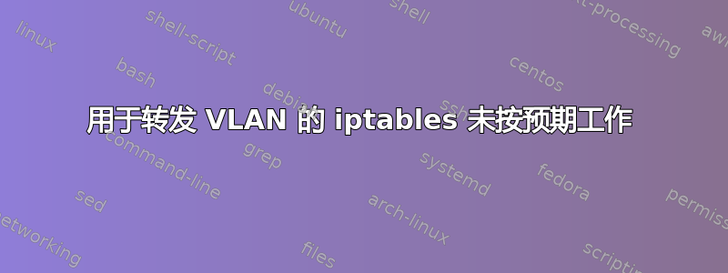 用于转发 VLAN 的 iptables 未按预期工作