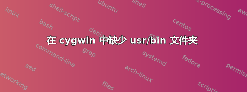 在 cygwin 中缺少 usr/bin 文件夹