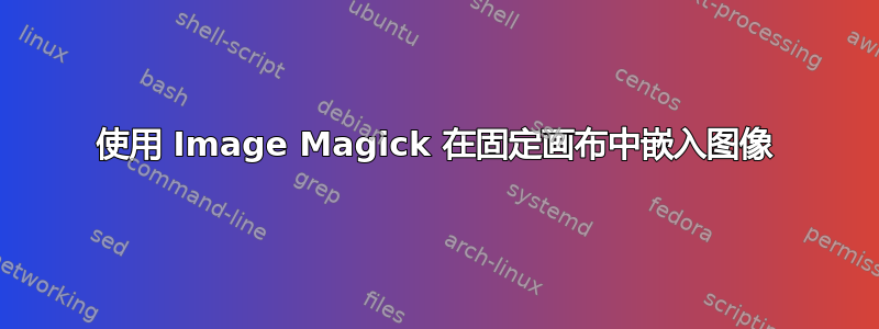 使用 Image Magick 在固定画布中嵌入图像