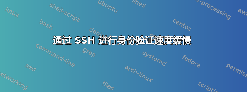 通过 SSH 进行身份验证速度缓慢