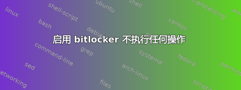 启用 bitlocker 不执行任何操作