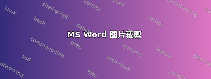 MS Word 图片裁剪