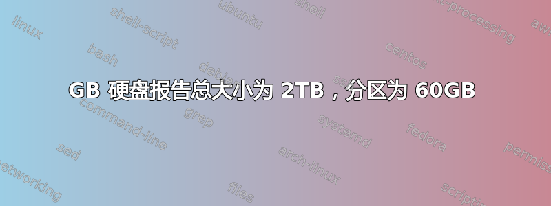 60GB 硬盘报告总大小为 2TB，分区为 60GB