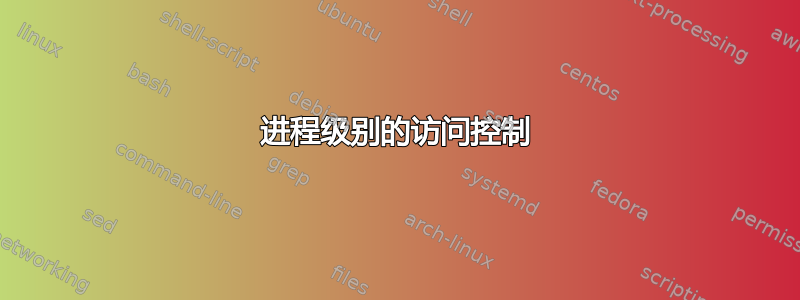 进程级别的访问控制