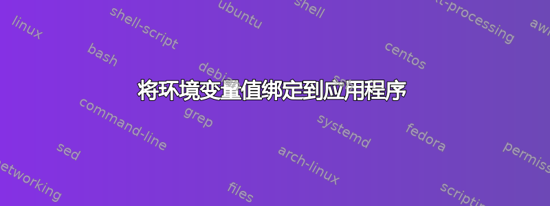 将环境变量值绑定到应用程序