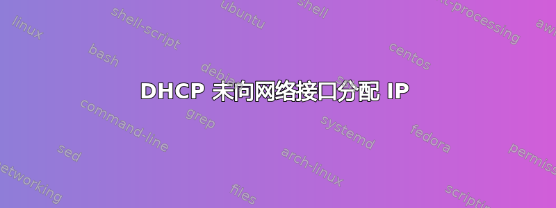 DHCP 未向网络接口分配 IP