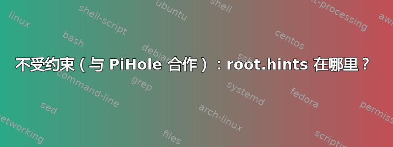 不受约束（与 PiHole 合作）：root.hints 在哪里？