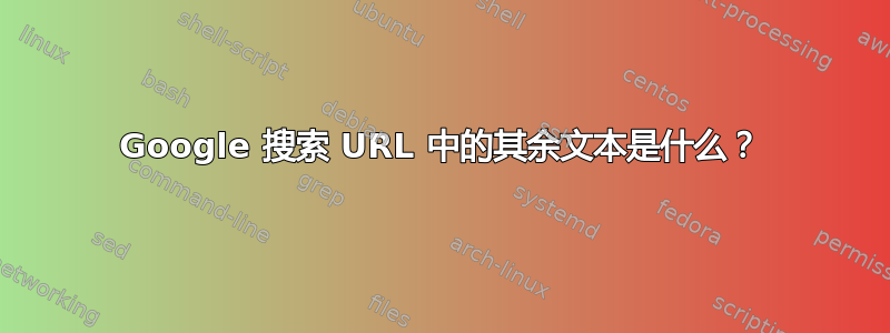 Google 搜索 URL 中的其余文本是什么？