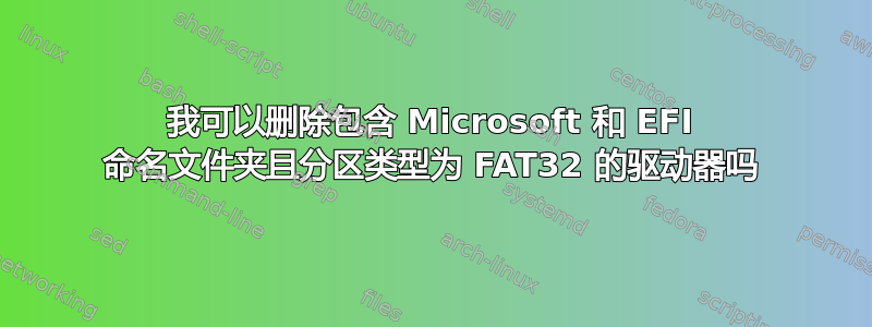 我可以删除包含 Microsoft 和 EFI 命名文件夹且分区类型为 FAT32 的驱动器吗