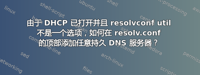 由于 DHCP 已打开并且 resolvconf util 不是一个选项，如何在 resolv.conf 的顶部添加任意持久 DNS 服务器？