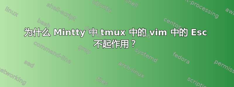 为什么 Mintty 中 tmux 中的 vim 中的 Esc 不起作用？