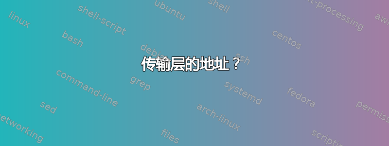 传输层的地址？