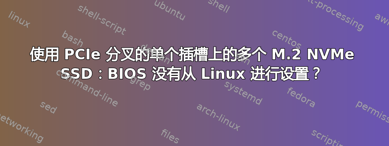 使用 PCIe 分叉的单个插槽上的多个 M.2 NVMe SSD：BIOS 没有从 Linux 进行设置？