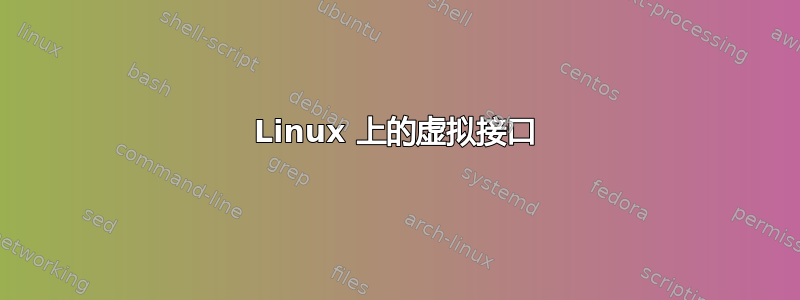 Linux 上的虚拟接口