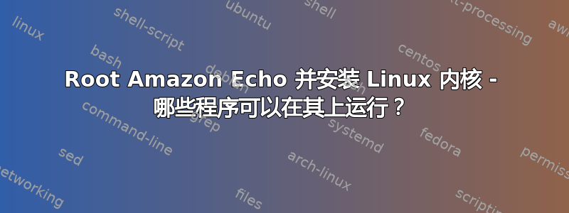 Root Amazon Echo 并安装 Linux 内核 - 哪些程序可以在其上运行？