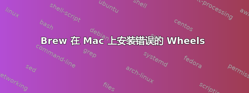 Brew 在 Mac 上安装错误的 Wheels