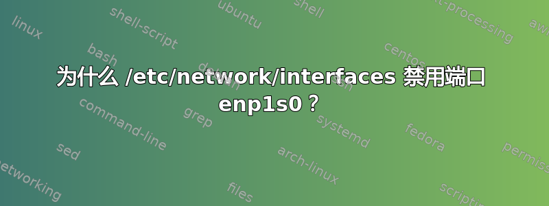 为什么 /etc/network/interfaces 禁用端口 enp1s0？