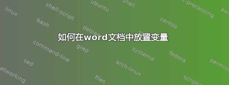 如何在word文档中放置变量