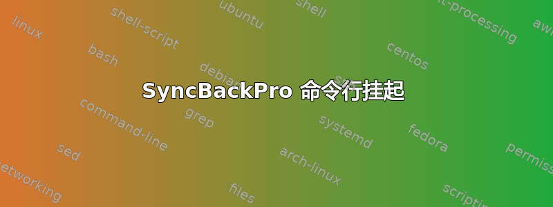 SyncBackPro 命令行挂起