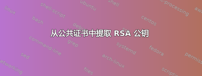 从公共证书中提取 RSA 公钥