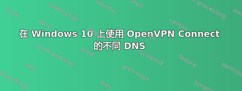 在 Windows 10 上使用 OpenVPN Connect 的不同 DNS