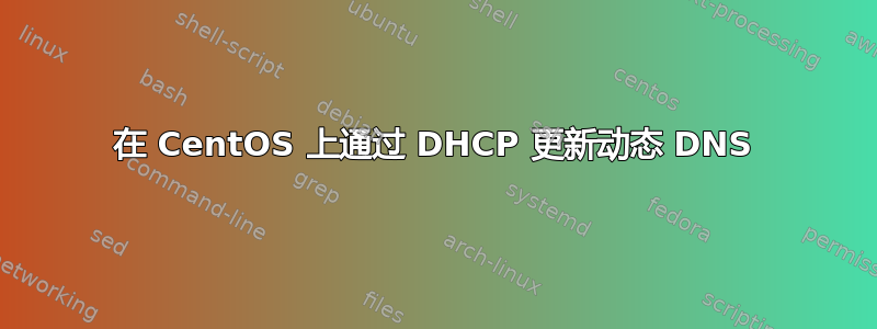 在 CentOS 上通过 DHCP 更新动态 DNS