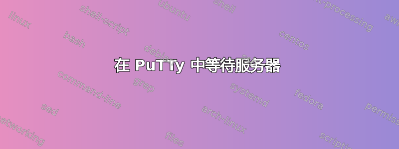 在 PuTTy 中等待服务器