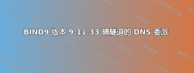 BIND9 版本 9.11.33 碘隧道的 DNS 委派