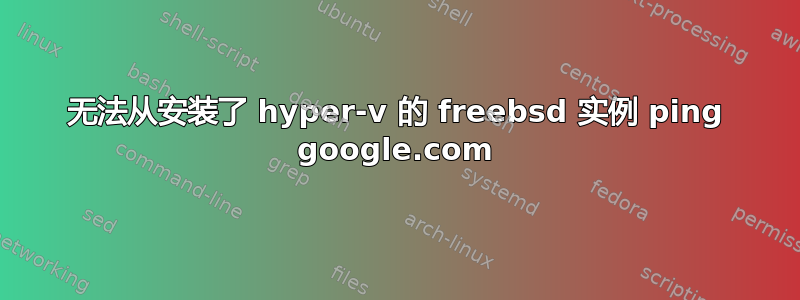 无法从安装了 hyper-v 的 freebsd 实例 ping google.com