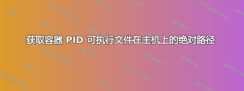 获取容器 PID 可执行文件在主机上的绝对路径