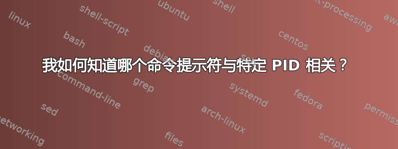 我如何知道哪个命令提示符与特定 PID 相关？