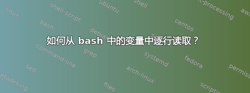 如何从 bash 中的变量中逐行读取？