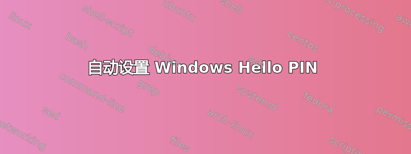 自动设置 Windows Hello PIN