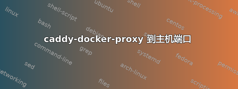 caddy-docker-proxy 到主机端口