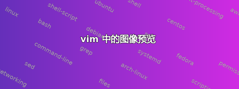 vim 中的图像预览