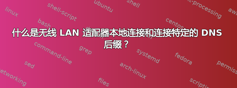 什么是无线 LAN 适配器本地连接和连接特定的 DNS 后缀？