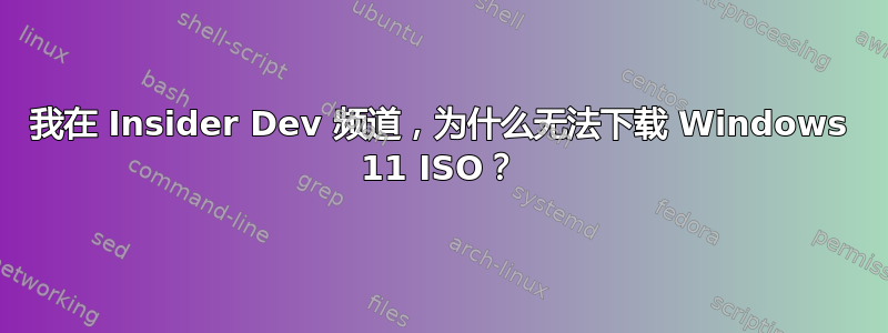 我在 Insider Dev 频道，为什么无法下载 Windows 11 ISO？