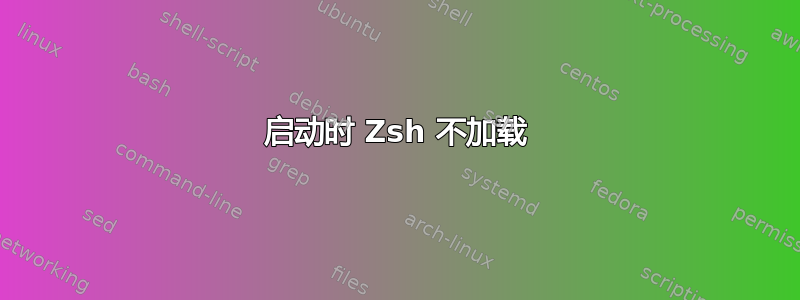 启动时 Zsh 不加载