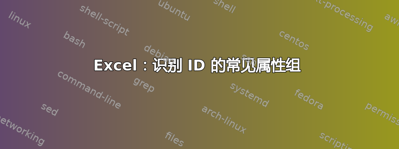 Excel：识别 ID 的常见属性组