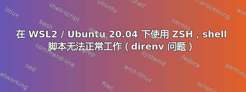 在 WSL2 / Ubuntu 20.04 下使用 ZSH，shell 脚本无法正常工作（direnv 问题）