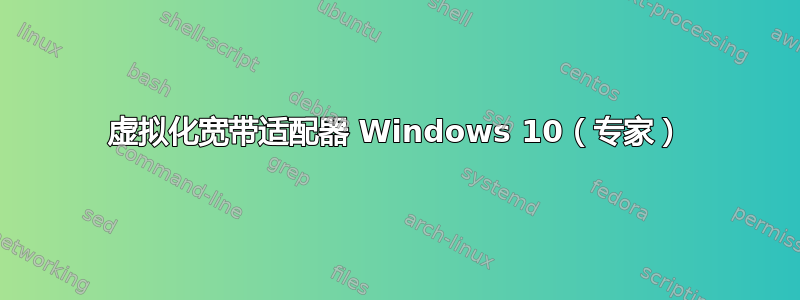 虚拟化宽带适配器 Windows 10（专家）