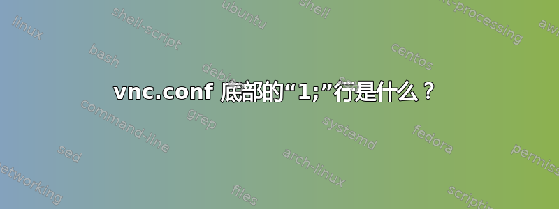 vnc.conf 底部的“1;”行是什么？