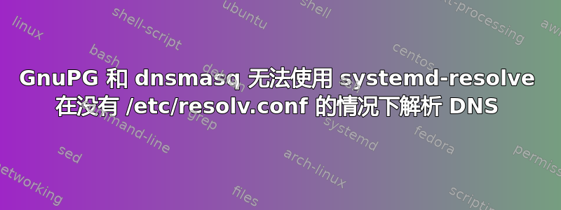 GnuPG 和 dnsmasq 无法使用 systemd-resolve 在没有 /etc/resolv.conf 的情况下解析 DNS