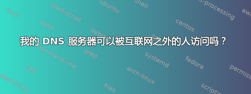 我的 DNS 服务器可以被互联网之外的人访问吗？