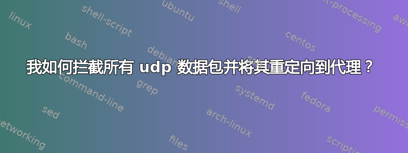 我如何拦截所有 udp 数据包并将其重定向到代理？